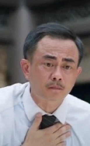 域名历史信息整理示意图